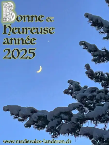 Meilleurs vœux 2025