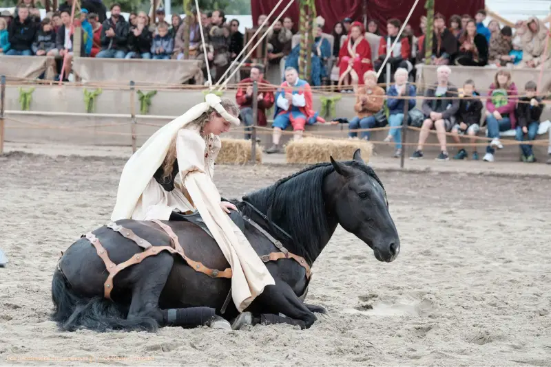 Dressage
