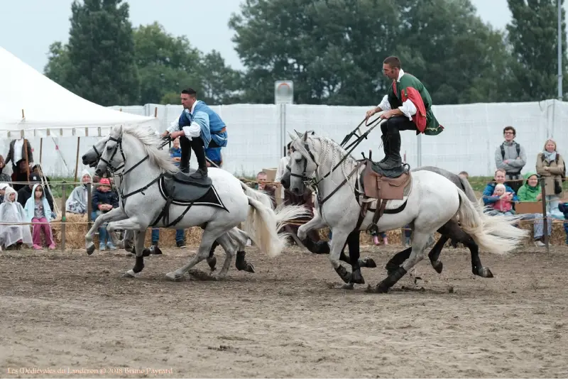 Cavaliers au galop