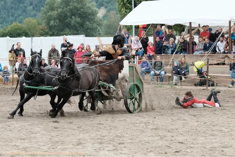 malandrin tiré par un char attelé