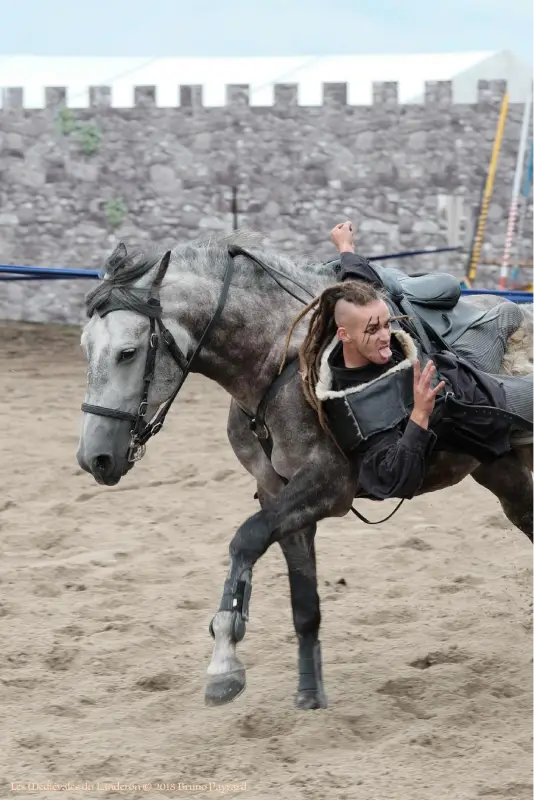 Acrobatie d'un cavalier