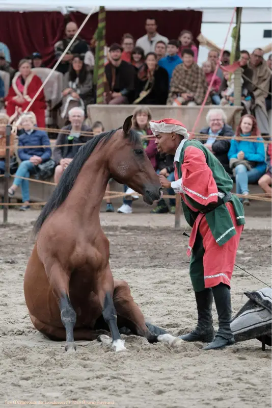 Ecuyer parlant à l'oreille d'un cheval