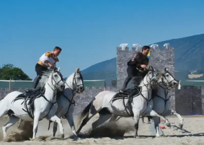 Compagnie Impulsion