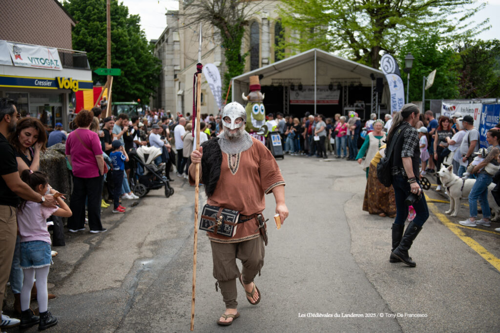 Viking conquérant