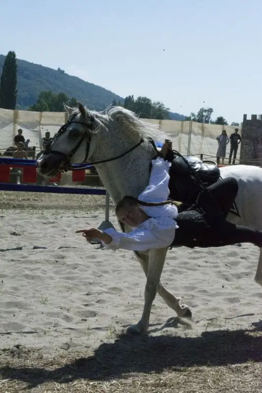Acrobaties sur cheval