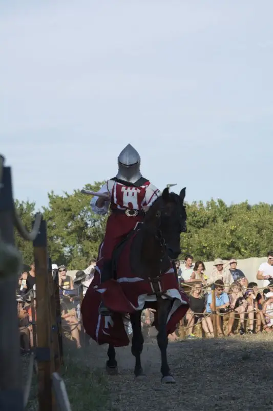 Chevalier prêt pour la joute