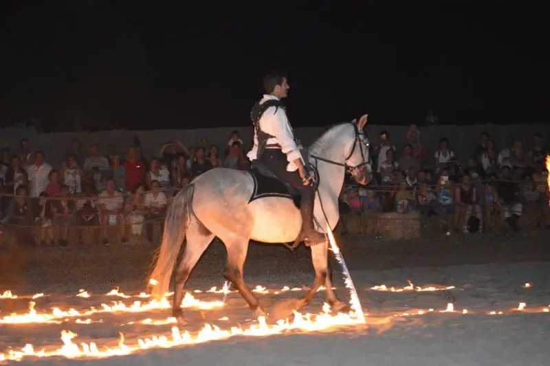 Spectacle équestre nocturne