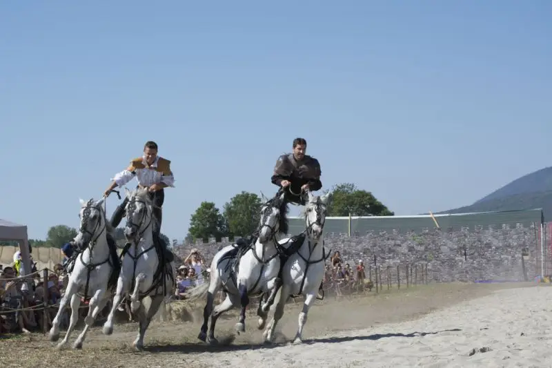 Virage de Cavaliers au galop sur chacun 2 chevaux