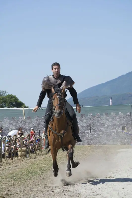 Cavalier sur cheval au galop - quel force, quelle puissance, quel vol