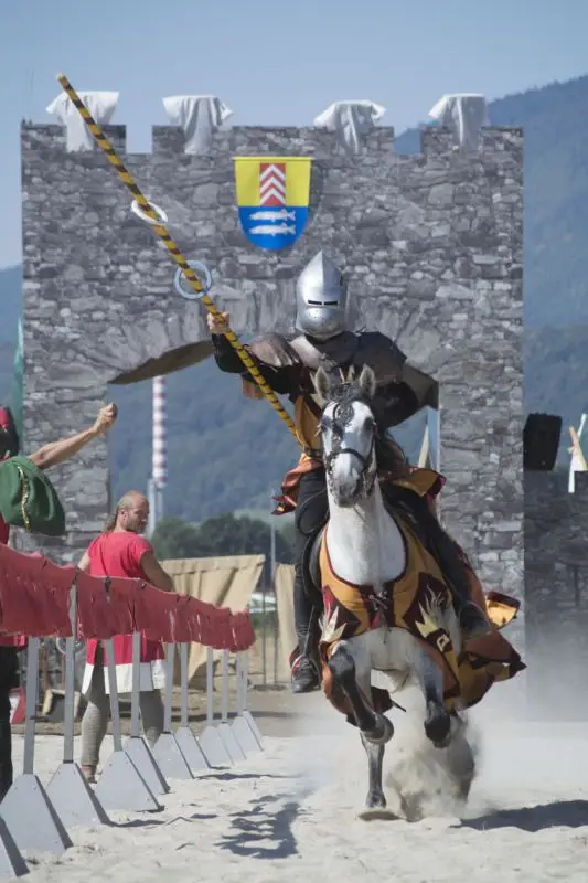 et de 2 anneau sur la lance du chevalier