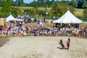 Poney debout devant le public
