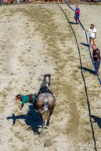 Acrobate sur un cheval au galop