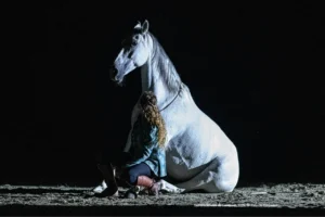 Cheval assis avec sa cavalière au spectacle nocturne
