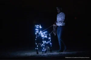 Poney lumineux au spectacle nocturne