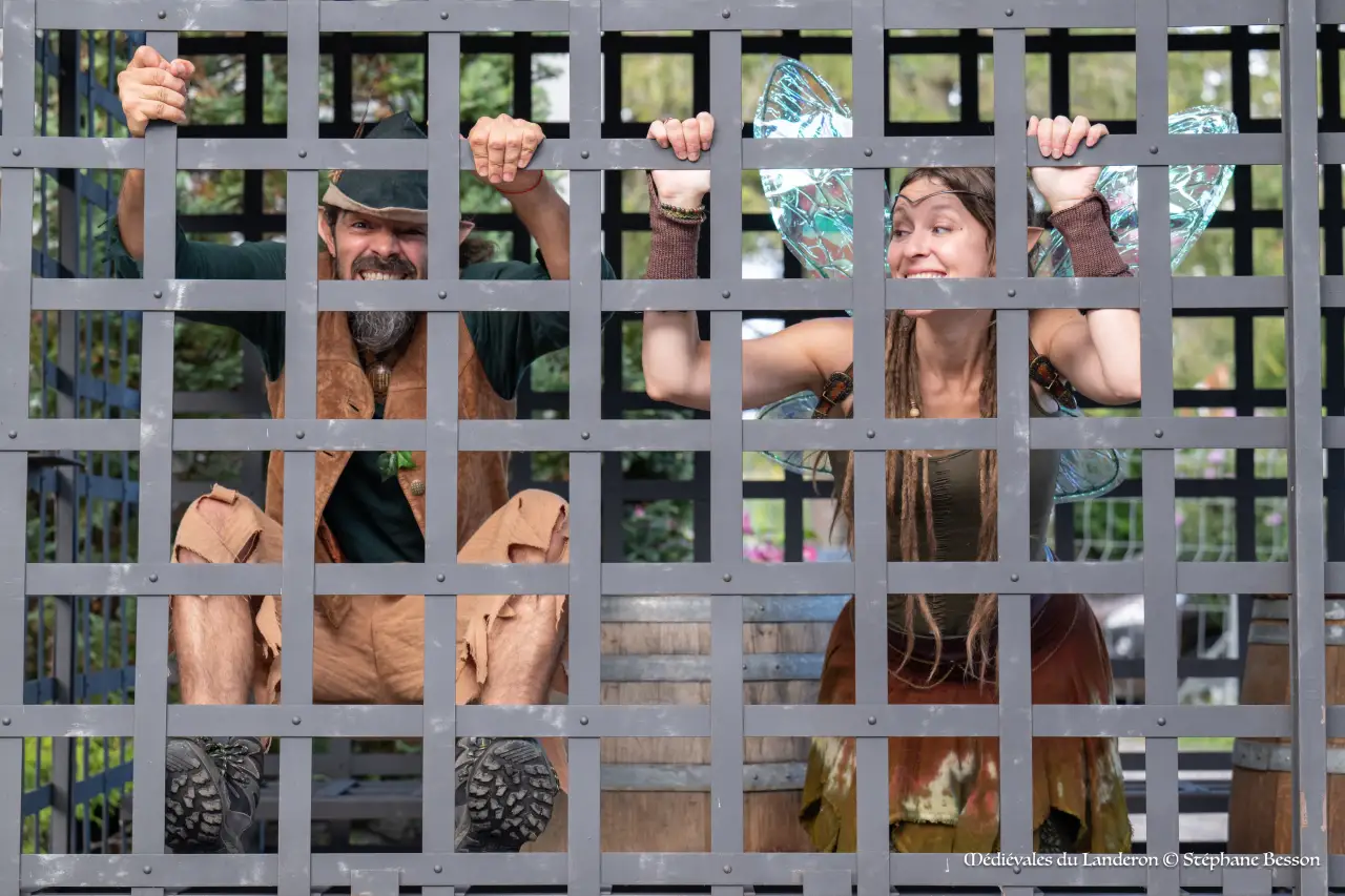 Lutin Pixie et fée Awen emprisonnés