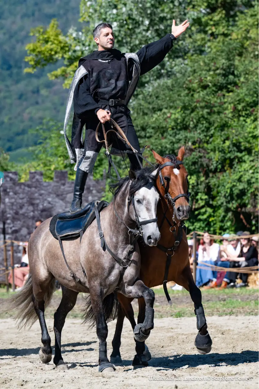 Cavalier debout sur 2 chevaux