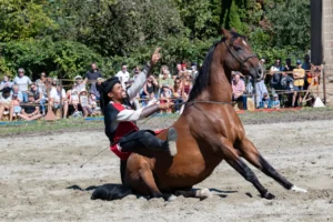 Cavalier en mauvaise posture sur la croupe de son cheval