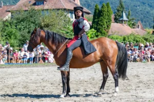 Cavalier exaspéré sur son cheval récalcitrant